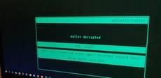 On the security model of software wallets